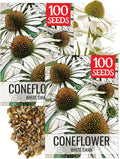 Seed Needs White Swan Coneflower Seeds for Planting Echinacea - Heirloom & Open Pollinated Perennial Flower - Attract Pollinators to a Butterfly Garden (2 Packs)