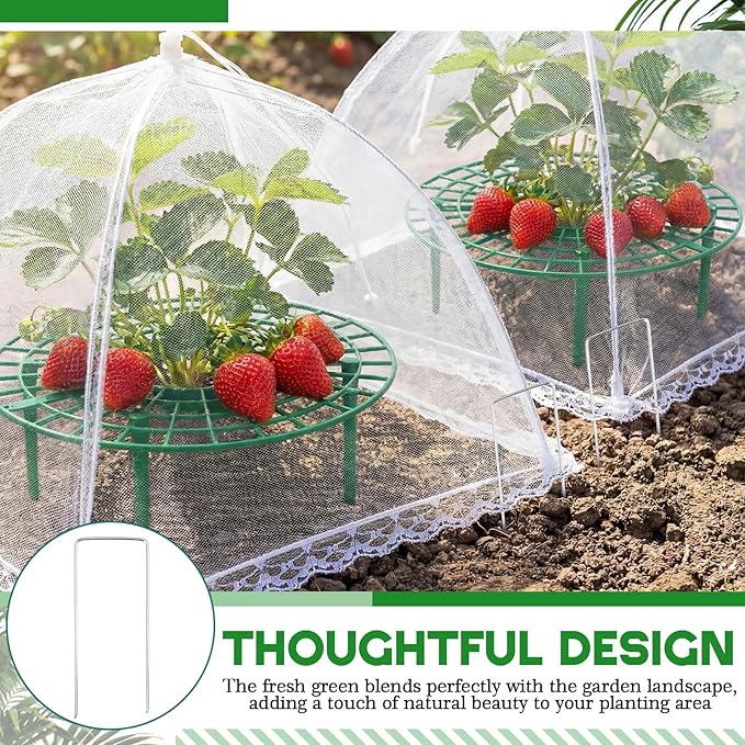 12 Sets Round Strawberry Plant Support with Mesh Plant Cover, Strawberry Growing Kit with Iron Nails for Garden Vegetables Keep Berries Clean