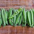 Green Arrow Pea Garden Seed - 1 Lb ~1,800 Seeds - Non-GMO, Heirloom Vegetable Gardening & Micro Pea Shoots Seeds