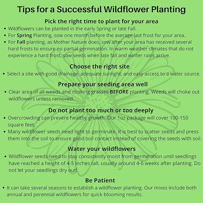 Partial Shade Wildflower Seeds 4oz - Open-Pollinated Flower Seed Mix Packet, No Fillers, Annual, Perennial Wildflower Seeds Year Round Planting