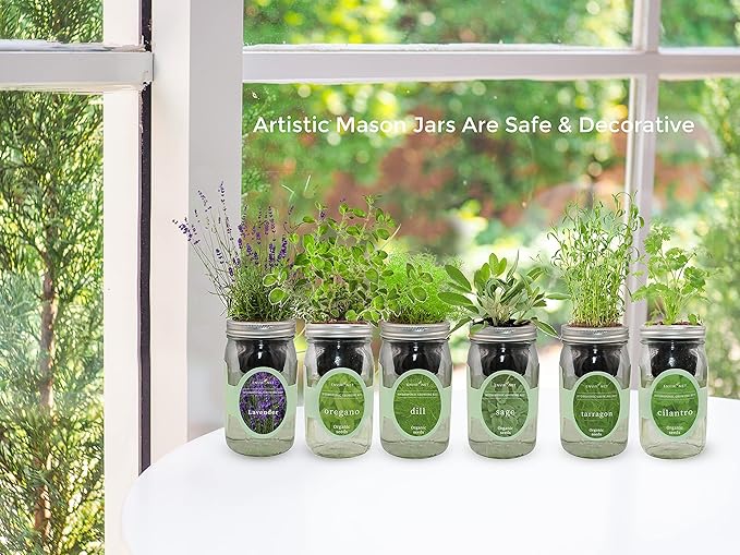 Hydroponic Herb Growing Kit, Self-Watering Mason Jar Herb Garden Starter Kit Indoor, Windowsill Herbs Garden, Grow Your Own Herbs from Organic Seeds (Parsley)