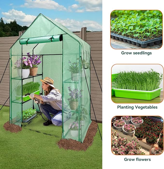 Heyfurni Walk in Greenhouse with Shelves,Walk-in Plant Green House with Durable Green PE Cover, 3 Tiers 6 Shelves Stands with Ground Pegs & Ropes for Stability, 56"x28"x76"