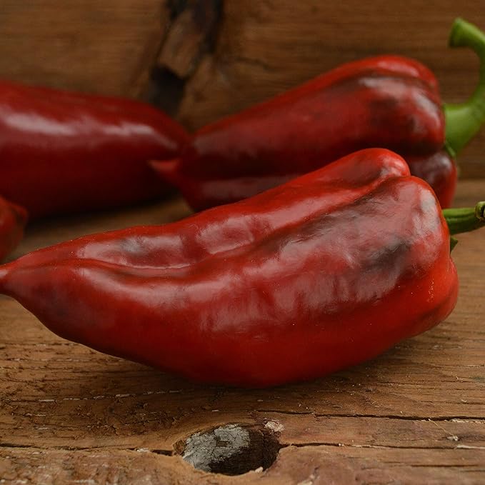 Yalova Yaglik Sweet Frying Pepper - 25 Seeds - Rare Heirloom & Open-Pollinated Variety, USA-Grown, Non-GMO Vegetable Seeds for Planting Outdoors in The Home Garden, Thresh Seed Company