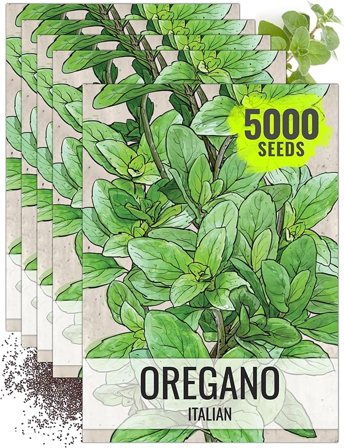Seed Needs Oregano Seeds for Planting Italian Herbs - Non-GMO Heirloom & Untreated Culinary Herb Seed - Grow Indoors or Outdoors for a Kitchen Garden (5 Packs)