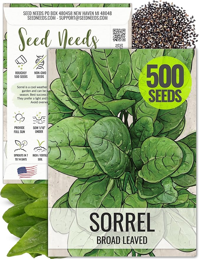 Seed Needs Large Leaf Sorrel Seeds for Planting - Heirloom Non-GMO & Untreated Medicinal or Culinary Herb - Grow a Home Grown Outdoor Garden (1 Pack)