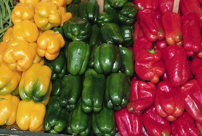 NIKA SEEDS - Seeds Vegetable Sweet Bell Pepper Rainbow White-Red - 30 Seeds