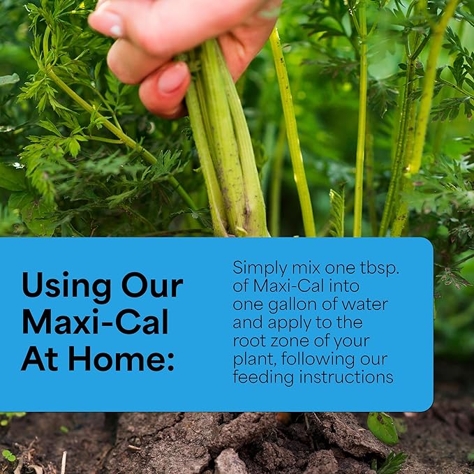 Grow More Maxi-Cal (10-0-0) - 16oz of USA-Made Calcium Nitrate Fertilizer - Provides Nitrogen & Liquid Calcium for Plants, Fruits, & Vegetables - Blossom End Rot & Root Rot Treatment