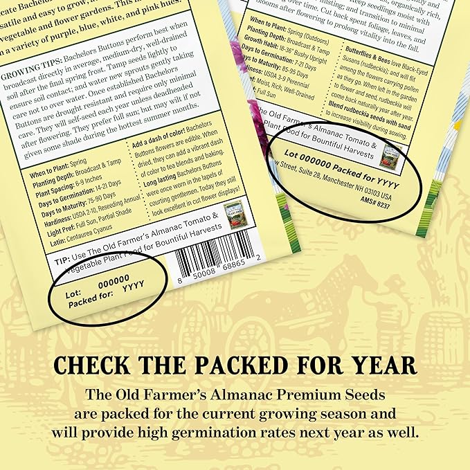 The Old Farmer's Almanac Heirloom Summer Squash Seeds (Black Beauty Zucchini) - Approx 50 Seeds - Non-GMO, Open Pollinated, USA Origin