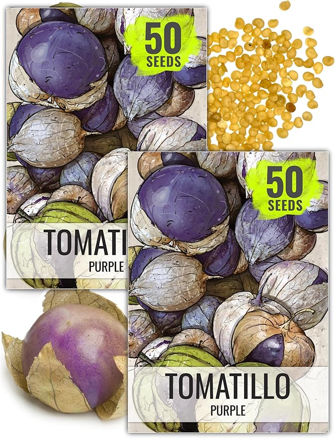 Seed Needs Tomatillo Seeds for Planting Purple Tomatillos - Non-GMO Heirloom & Untreated Annual Veggie Seed to Plant a Home Grown Vegetable Garden Outdoors
