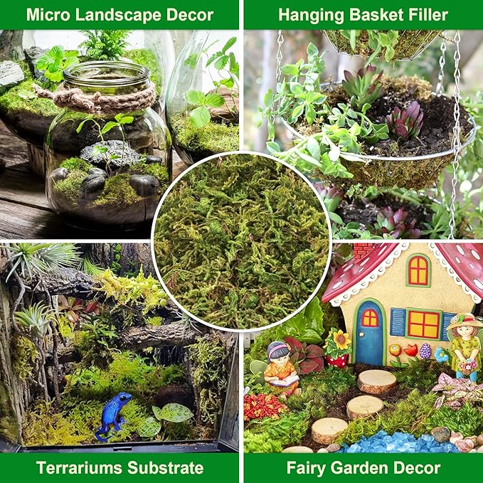 Legigo 7OZ Sphagnum Moss for Plants, 8QT Natural Orchid Moss Potting Mix Dired, Green Forest Plant Moss for Orchid Repotting Carnivorous Succulents Indoor Potted Plants Gardening and Reptiles