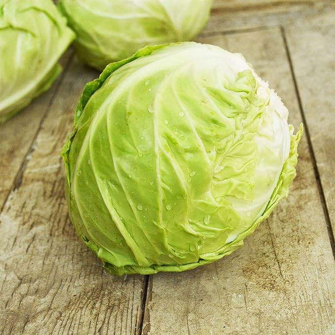 Copenhagen Market Cabbage - 100 Seeds - Heirloom & Open-Pollinated Variety, Non-GMO Vegetable Seeds for Planting Outdoors in The Home Garden, Thresh Seed Company