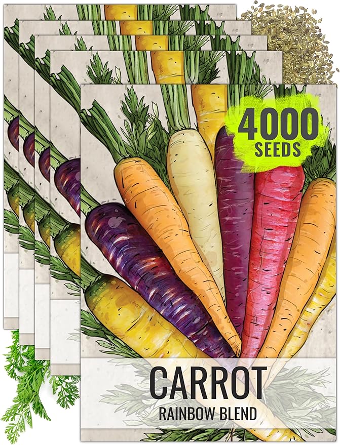 Seed Needs Carrot Seeds for Planting Rainbow Carrots - Non-GMO Heirloom & Untreated Veggie Seed to Grow a Home Grown Vegetable Garden in Fall or Spring (5 Packs (4,000 Seeds))