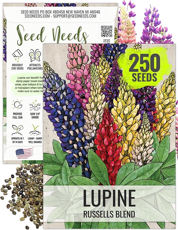 Seed Needs Lupine Seeds for Planting Russells Blend - Heirloom & Open Pollinated Multicolor Flowers to Attract Pollinators to a Butterfly Garden - Red, Purple, Blue, Yellow, White & More (1 Pack)