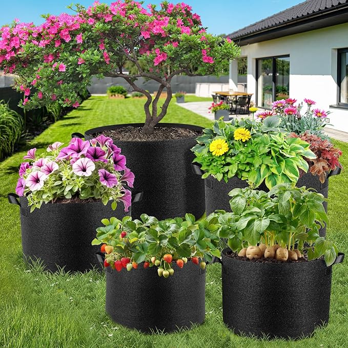 10 Pack 1 Gallon Grow Bags, Thickened Nonwoven Fabric Planter Pots with Handles, Heavy Duty 300G Garden Pots for Tomato, Potato and Vegetable