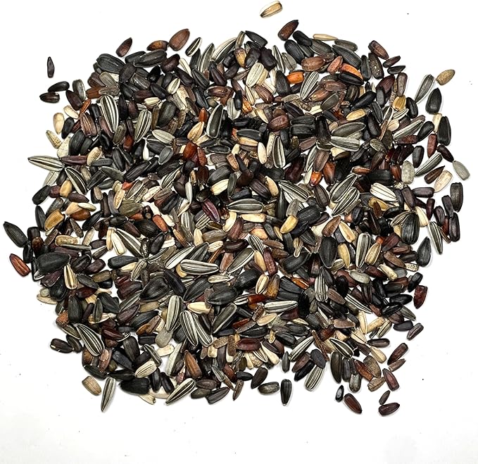 Seed Needs Sunflower Seeds to Plant Sunset Blend 7 Varieties Mix | 750+ Seeds Helianthus Annuus Heirloom Open Pollinated Bulk Flower Seed | Multicolored Sun Flowers Garden Favorite