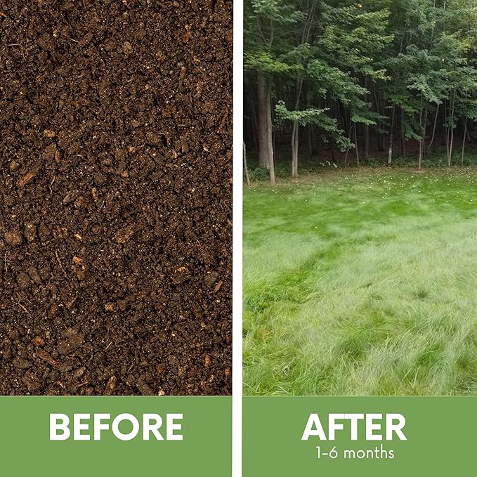 Flawn Seed Kits Simple Lawn Mow Less Fine Fescue Grass Seed, 2 lbs, Low Maintenance, Shade Tolerant, Covers up to 1000 Sqft