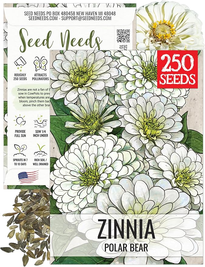 Seed Needs Polar Bear White Zinnia Seeds for Planting - Heirloom & Untreated - Grow a Butterfly Garden to Attract Butterflies, Bees and Pollinators - Great Cut Flowers (1 Pack)