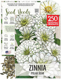 Seed Needs Polar Bear White Zinnia Seeds for Planting - Heirloom & Untreated - Grow a Butterfly Garden to Attract Butterflies, Bees and Pollinators - Great Cut Flowers (1 Pack)