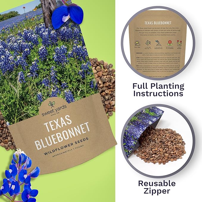 Bulk Texas Bluebonnet Wildflower Seeds - 1 Pound Bag - Over 16,000 Native Seeds - Texas State Flower!