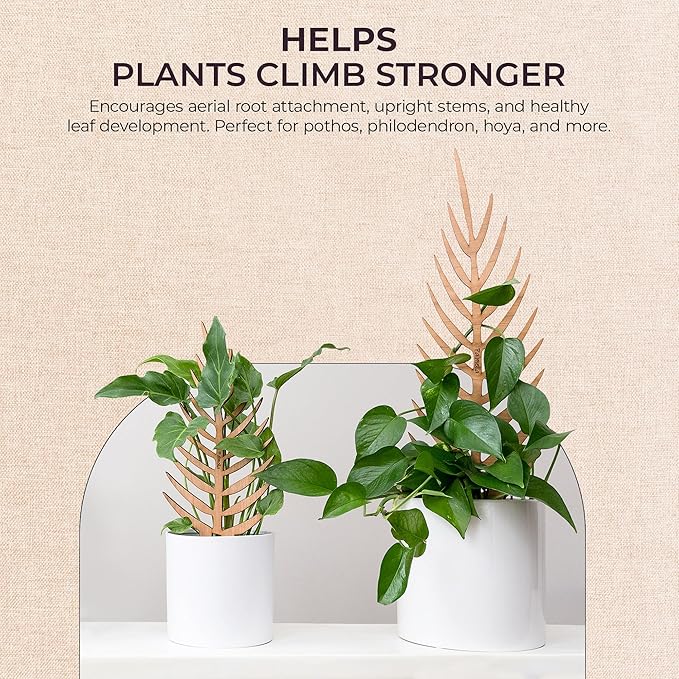 Treleaf Palmella Palm Leaf Inspired Wooden Trellis – Regular Size Indoor Plant Support for Climbing Plants – 12” Decorative Houseplant Trellis and Wooden Plant Stake for Potted Vines