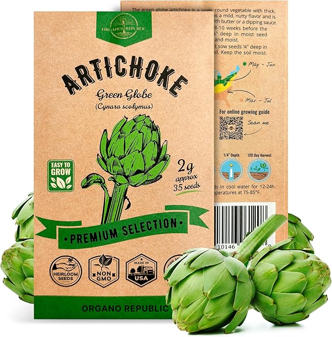 Green Globe Artichoke Seeds Pack 2G - Over 35 of Non-GMO Heirloom Artichoke Seeds for Planting Vegetables in Individual Seed Packet, Vegetable Seeds for Planting Home Garden Indoor & Outdoor Gardening