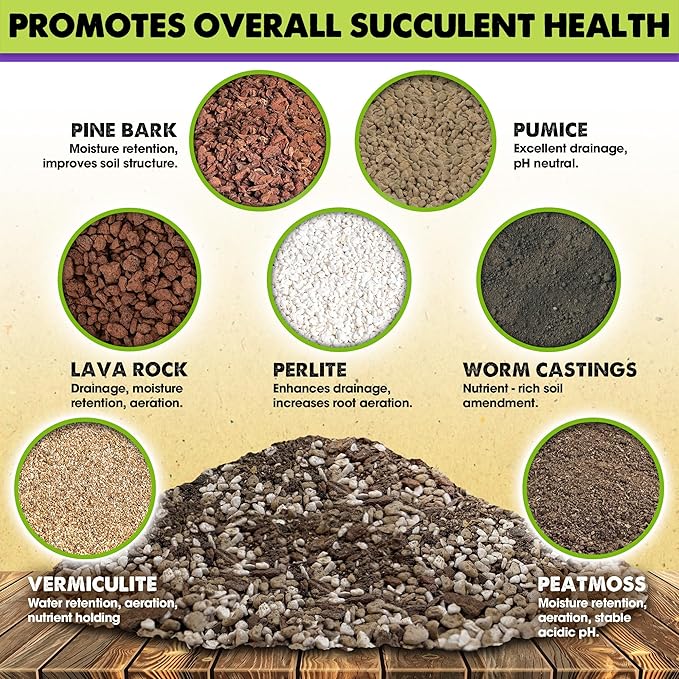 DUSPRO Succulents Soil Potting Mix – 7 in 1 Ingredients Well-Draining, Nutrient-Rich Cactus Potting Soil for Succulents and Cacti, Indoor & Outdoor Use, Ready to Use, Supports Healthy Root Growth, 2QT