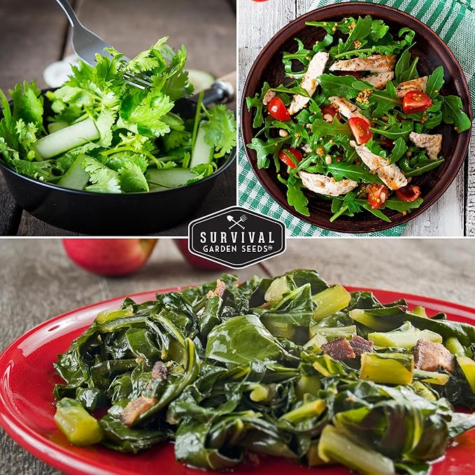 10 Power Greens Seed Collection – Heirloom Collards, Mustard, Swiss Chard, Spinach, Kale, Tatsoi, Pak Choi & More for Fall & Spring Planting | Survival Garden Seeds