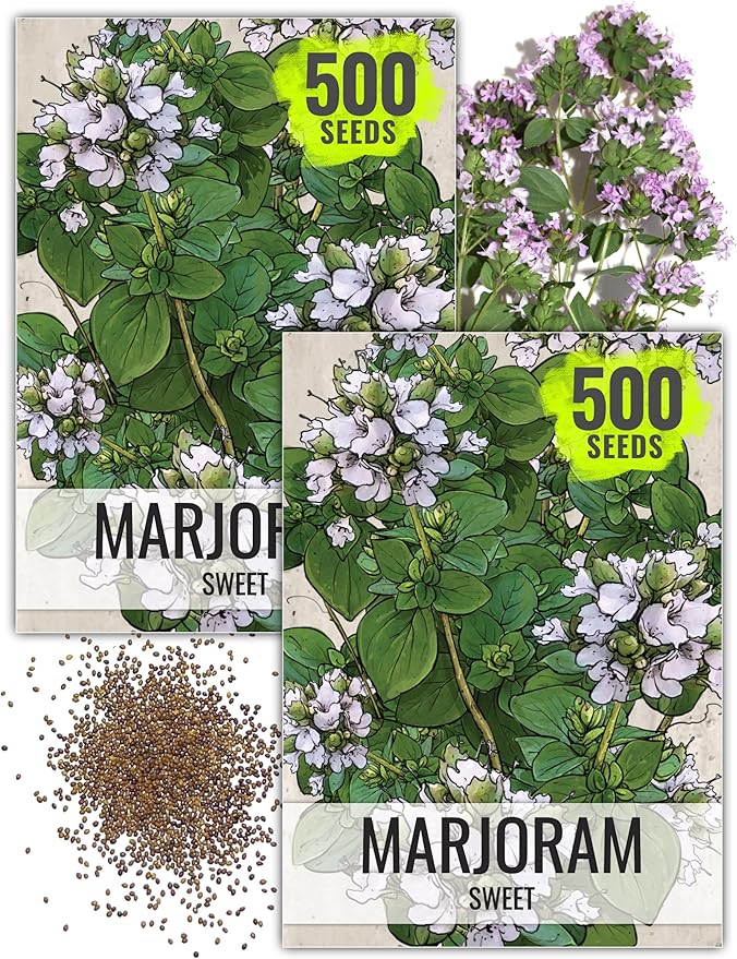 Seed Needs Sweet Marjoram Seeds for Planting - Heirloom, Non-GMO & Untreated - Perennial Culinary & Medicinal Herbs for Indoor/Outdoor Growing (2 Packs)