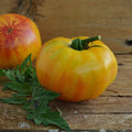 Gold Medal Heirloom Tomato - 50 Seeds - Open-Pollinated Variety, Sweet with Low-Acid Content, USA-Grown, Non-GMO Vegetable Seeds for Planting Outdoors in The Home Garden, Thresh Seed Company