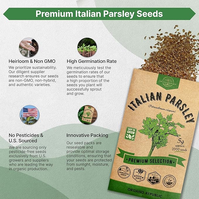 Organo Republic Italian Parsley Seeds Pack 5G - Over 2,000 Non-GMO Heirloom Parsley Seeds for Planting Herbs in Individual Seed Packet, Herbs Seeds for Planting Home Garden Indoor & Outdoor Gardening
