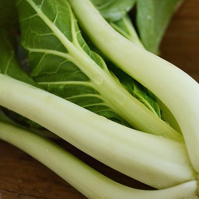 Pak Choi White Stem - 250 Seeds - Open-Pollinated Asian Vegetable Variety, Non-GMO Heirloom Bok Choy Seeds for Planting, Grow Greens Indoors or Outdoors in The Home Garden, Thresh Seed Company