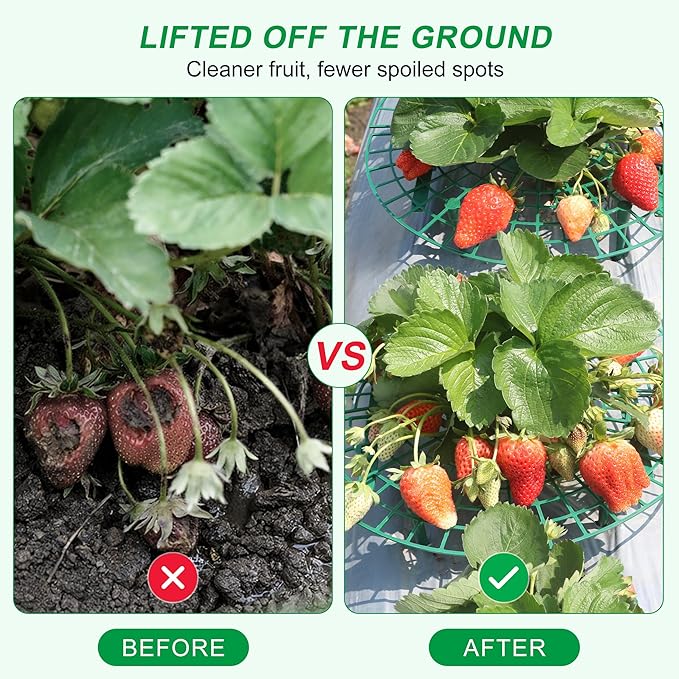 10 Pack Round Strawberry Plant Support,Strawberry Growing Kit,Reusable Plant Supports for Indoor Outdoor Growing