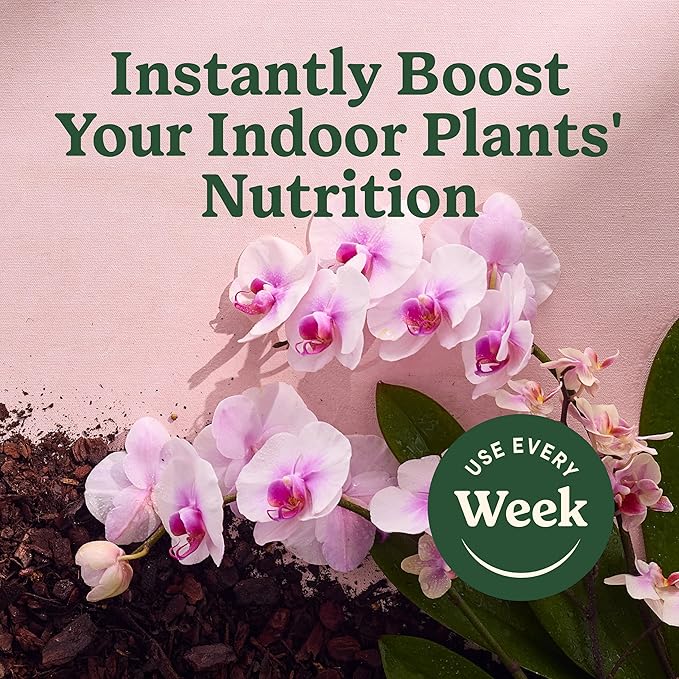Miracle-Gro Indoor Plant Food Mist for Orchids, Orchid Plant Food, 8 fl. oz. (3-Pack)