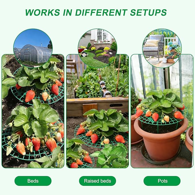 10 Pack Round Strawberry Plant Support,Strawberry Growing Kit,Reusable Plant Supports for Indoor Outdoor Growing