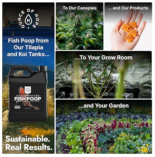 OMRI Listed Organic Concentrated Fish Poop - Liquid Fertilizer & Indoor Plant Food for Vegetable Gardens, Houseplants, Seedlings, Aquaponics & Soil Amendment (16 Oz - Makes 16 Gallons)