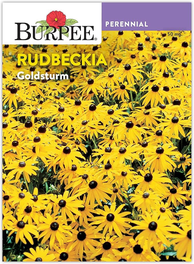 Burpee Rudbeckia 'Goldsturm' Seeds - Classic Perennial Coneflower