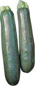 Burpee Sure Thing Zucchini Summer Squash Seeds 25 seeds