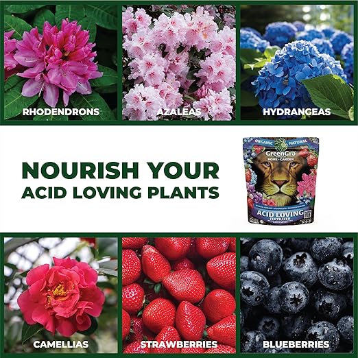 GreenGro Acid Loving Organic Fertilizer - 4 Pound Bag | Outdoor & Indoor Plant Food | Great for Flowers & Houseplants |