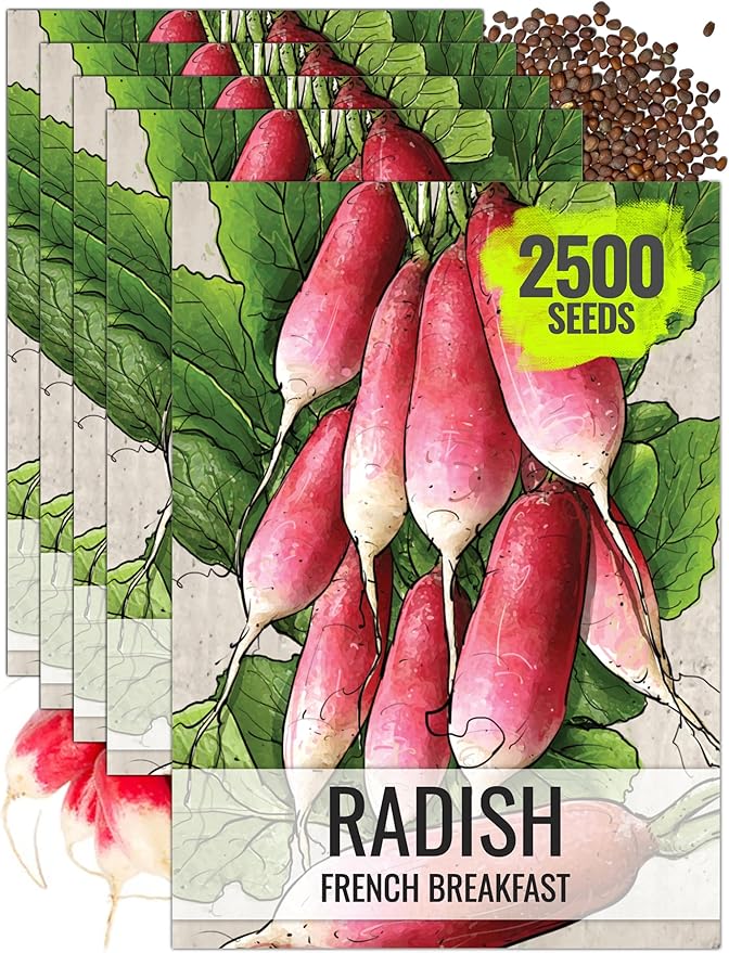 Seed Needs Radish Seeds for Planting French Breakfast Radishes - Non-GMO Heirloom & Untreated - Grow a Home Grown Vegetable Garden - Cool Weather Crops (5 Packs)