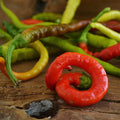 Keci Boynuzu (Goat Horn) Chile Pepper - 25 Seeds - Rare Turkish Heirloom, Hot, USA-Grown Chili Seeds, Non-GMO Seeds for Planting Indoors or Outdoors in The Home Garden, Thresh Seed Company