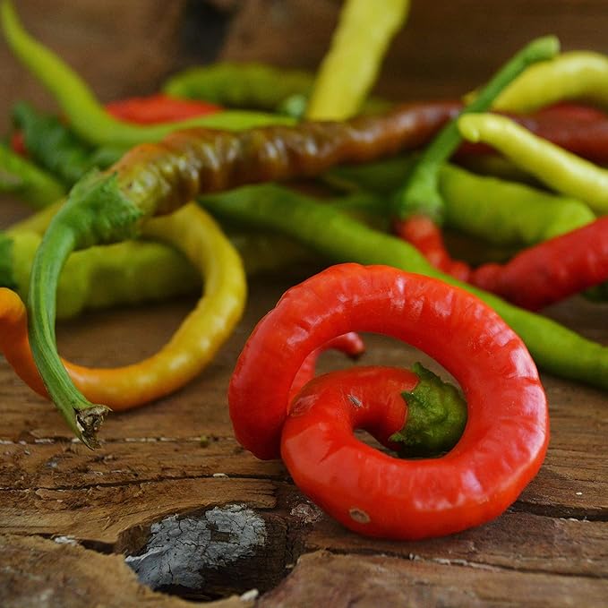 Keci Boynuzu (Goat Horn) Chile Pepper - 25 Seeds - Rare Turkish Heirloom, Hot, USA-Grown Chili Seeds, Non-GMO Seeds for Planting Indoors or Outdoors in The Home Garden, Thresh Seed Company