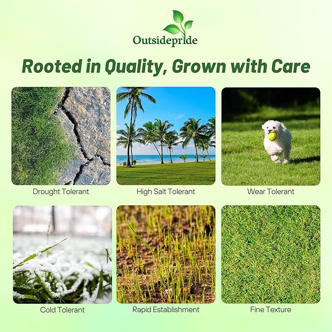 Outsidepride Rescape Seashore Paspalum Turf Grass Seed - 1 lb. Warm Season, Salt & Drought Tolerant Dense Lawn Grass Seed, Perfect for Erosion Control, High Traffic Fields, Beaches, & Coastal Areas