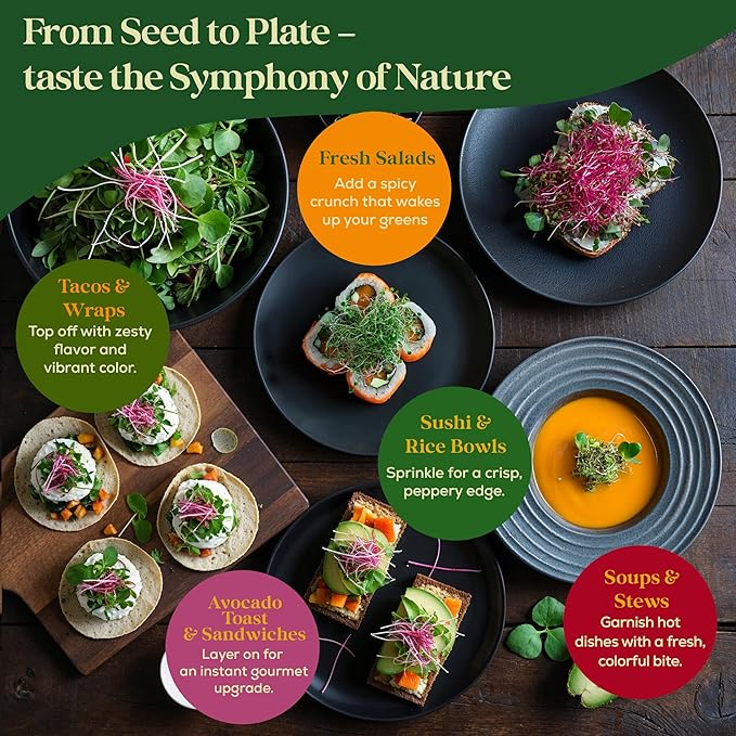 Radish Sprouting & Microgreens Seeds - 50,000 Non-GMO Heirloom Seed, 1lb Resealable Bag - High-Germination Radish Seeds for Sprouting in Jars, Soil, Hydroponics & Microgreen Trays