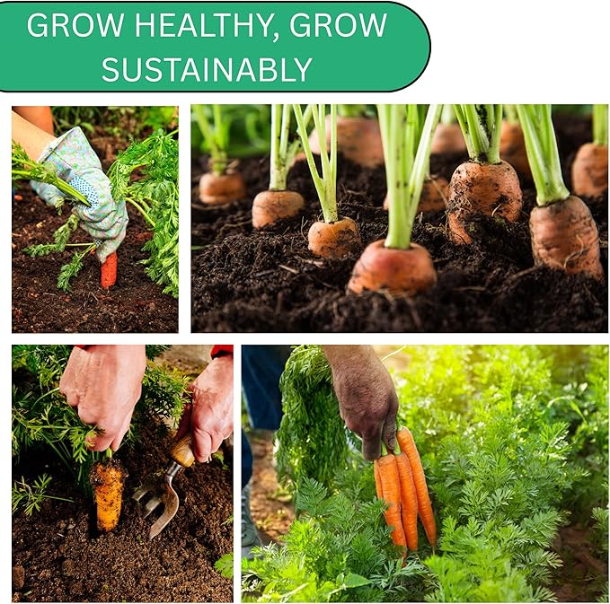 Woods Creek Seeds: Tendersweet Carrot Seeds for Planting - Over 2,900 Heirloom Carrot Seed Pack - Non-GMO Carrots Seeds for Planting Outdoors or Indoors - Beginner Friendly Vegetable Gardening