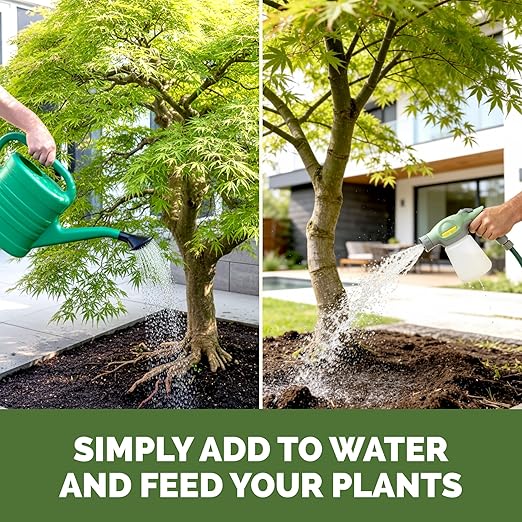 Japanese Maple Fertilizer – Liquid Plant Food for Vibrant Color, Stronger Roots & Healthy New Growth, 1 Gallon