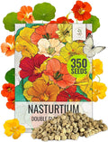 Seed Needs Flower Seeds Nasturtium Double Gleam Seed Edible Multicolor Blooms | 350+ Heirloom Seeds Tropaeolum Majus Untreated Bulk Flower Seed | 1.5 Ounce Resealable Pouch