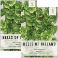 Seed Needs, Bells of Ireland Seeds - 400 Heirloom Seeds for Planting Molucella laevis - Green Bell Shaped Flowers, Perfect as a Cut Flower, Attracts Pollinators (2 Packs)