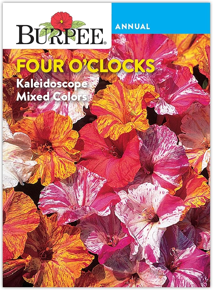 Burpee Four O'Clock Seeds, Kaleidoscope Mix - Fragrant Evening Blooms