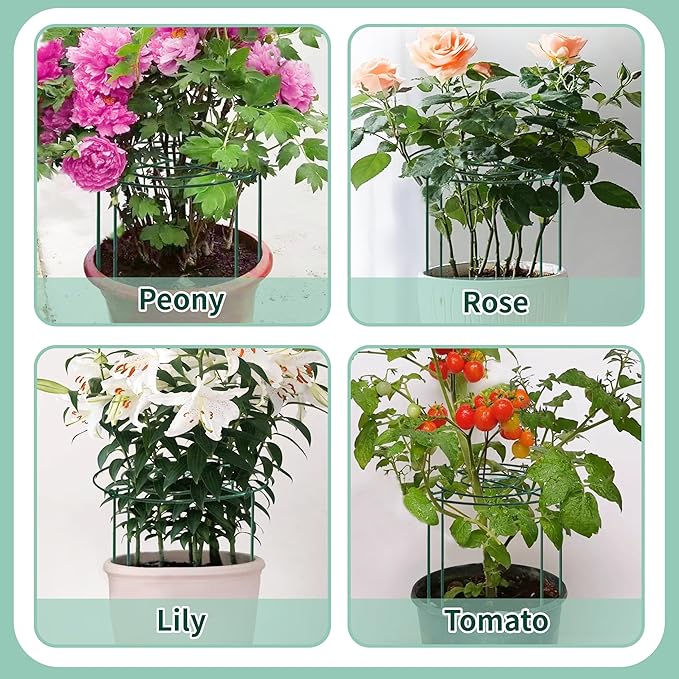 8 Sets Peony Support Cage,Heavy Duty Metal Plant Support Rings with 3.5mm Thickened Legs,10"Dia.x16"High Grow Through Hoops for Peonies and Tall Plants,Rust-Resistant Strong Support for Heavy Blossoms