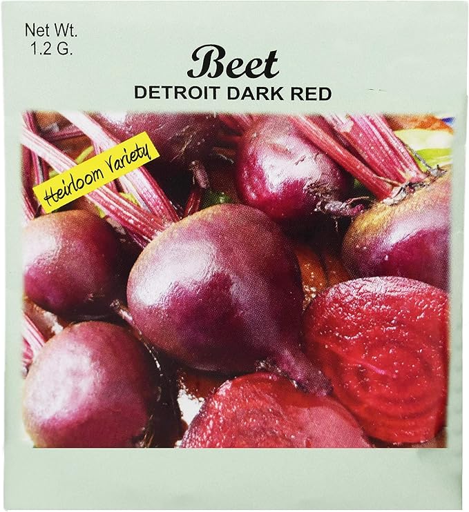Set of 50 Beets Detroit Dark red Vegetable Seed Packs - 100% GMO Free - Heirloom - Black Duck Brand (50, Beet- Detroit Dark Red)